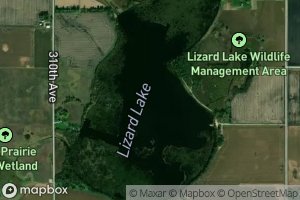 Lizard Lake