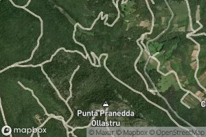 Funtana su Narboni 'e Vera