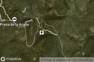 Las Almas Olvidadizas