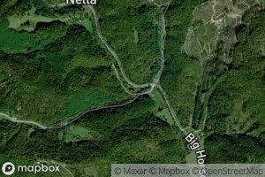 Little Windfall Branch