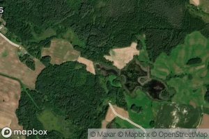 Liesoniu II Tvenkinys