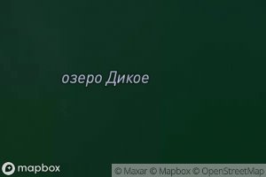Ozero Dikoye