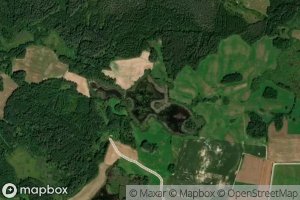 Liesoniu I Tvenkinys