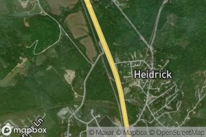 Scratch Ankle Branch