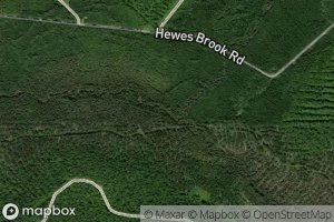 Fifth Pelletier Brook