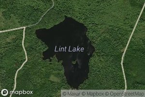 Lint Lake