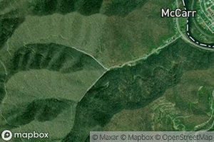 Right Fork Coon Branch