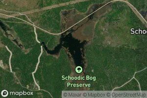 Schoodic Bog
