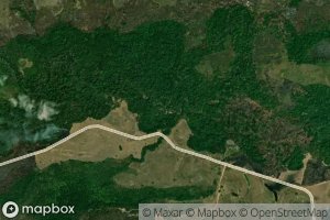 Morichal San Pedrito