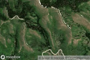 Rock Creek Bench Spring