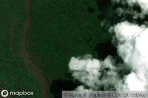 Spring-Steiner Rapid