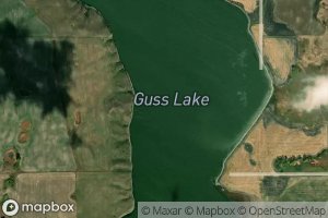 Guss Lake