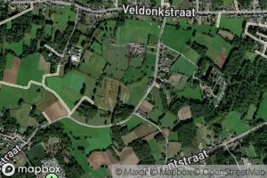 Steenbosbeek
