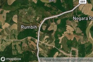 Bawang Jembatan Tanuh