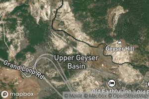 Tortoise Shell Spring