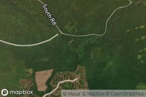 North Branch Alder Stream