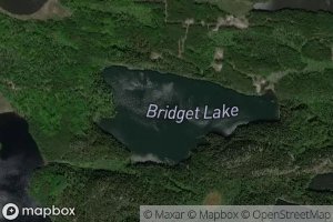 Bridget Lake