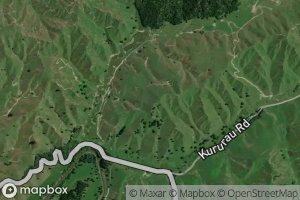Kururau Stream