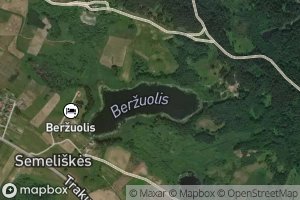 Ezeras Berzuolis