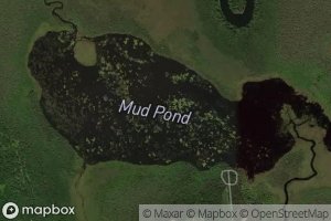 Mud Pond