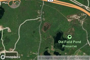 Gibbs Pond (historical)