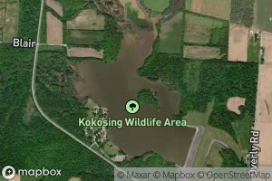 North Branch Kokosing River Lake