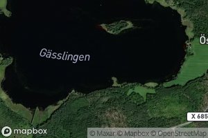 Gasslingen