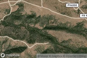 Bryant Canyon Spring