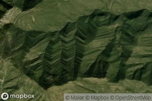 Canada Los Venaditos