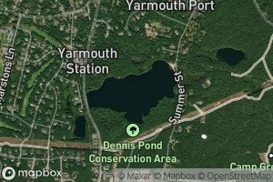 Dennis Pond