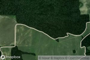 Fort Pillow Street Park Lake