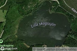 Lilla Skogssjon
