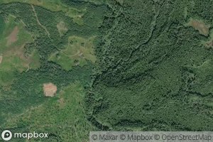 East Fork Lilliwaup Creek