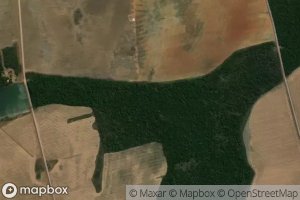 Corrego Cabeceira Verde