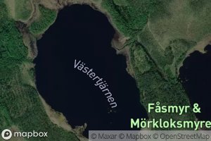 Vastertjarn