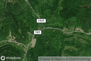 Left Fork Bear Creek