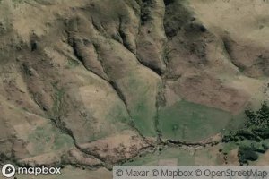 Paddys Market Stream