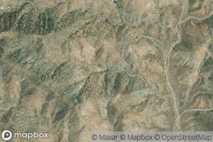 Chuckawalla Bill Spring