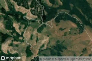 Trout Creek Pass Spring