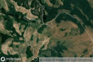 Trout Creek Pass Spring