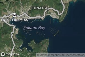 Fukami Wan