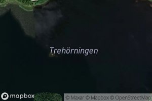 Trehoerningen
