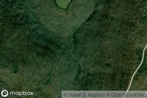 East Fork Ellis Branch