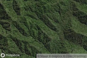 Mangawaiiti East Branch