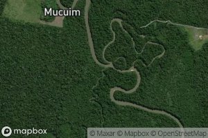 Igarape Jacareuba Grande