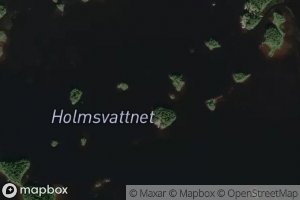 Holmsvattnet