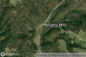 Fortune Teller Creek