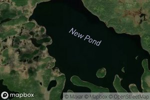 New Pond