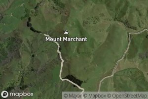 Mount Marchant Stream