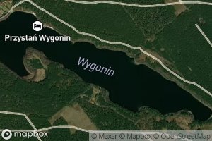 Wygonin